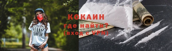 гашик Касимов