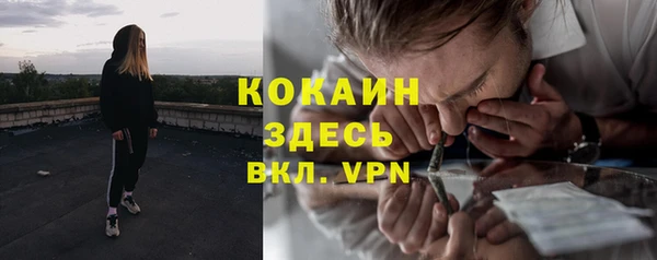 стаф Карталы