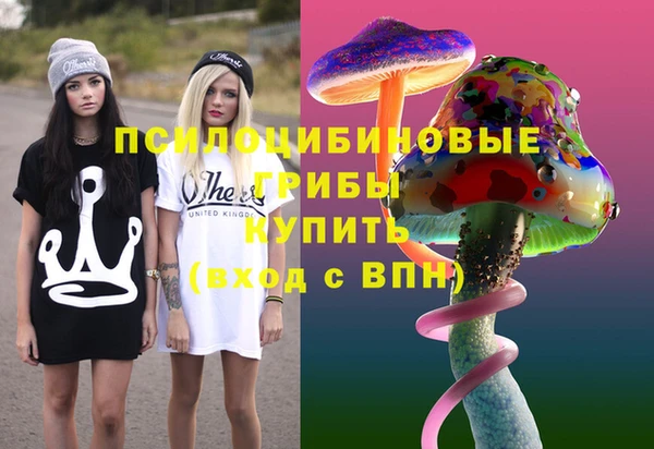 сатива Великий Новгород