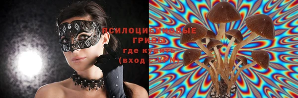 трава Каменка