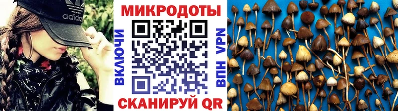 цена наркотик  Кимры  дарк нет состав  Псилоцибиновые грибы Psilocybe  мега ТОР 