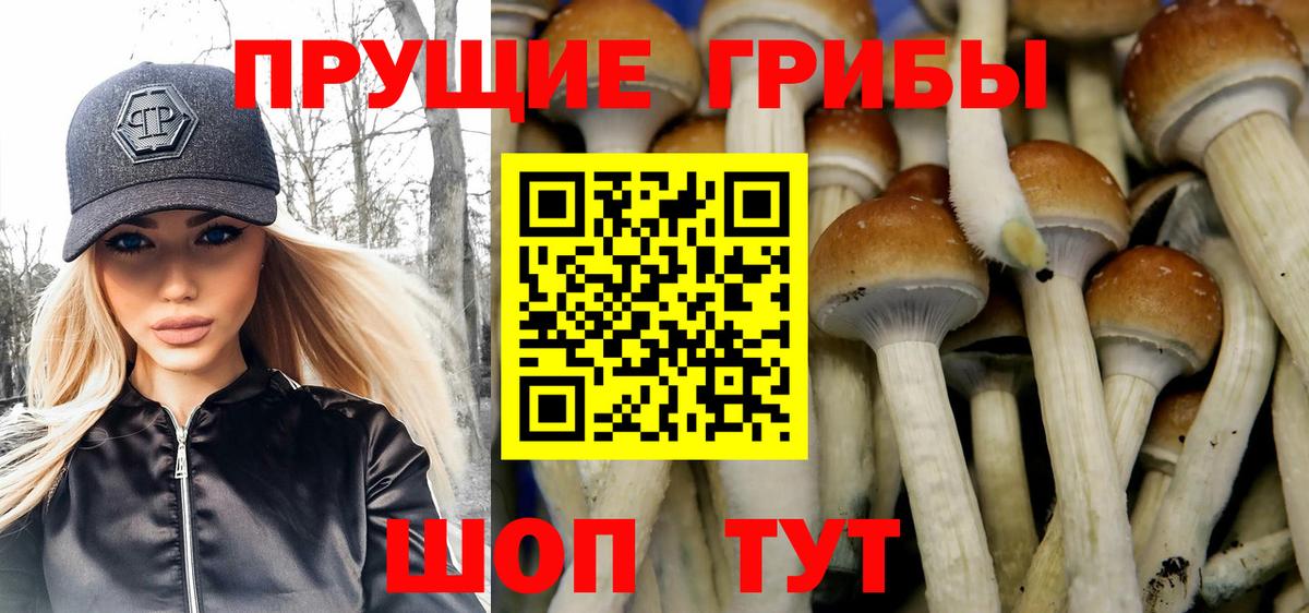 Псилоцибиновые грибы MAGIC MUSHROOMS Кимры