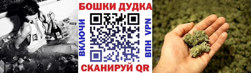 Шишки марихуана сатива  Кимры 